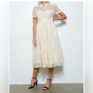 NWOT Boutique Elegant Lace Dress in Cream
